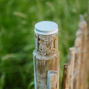 Nep nep -antiseptique -Traite les infections urinaires et vaginales