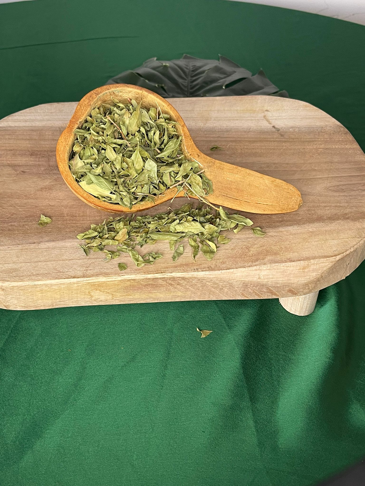 Feuilles de Moringa -booste de l’énergie/l’anémie – Image 2