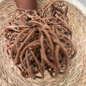 Rose de jericho*( boost la fertilité)