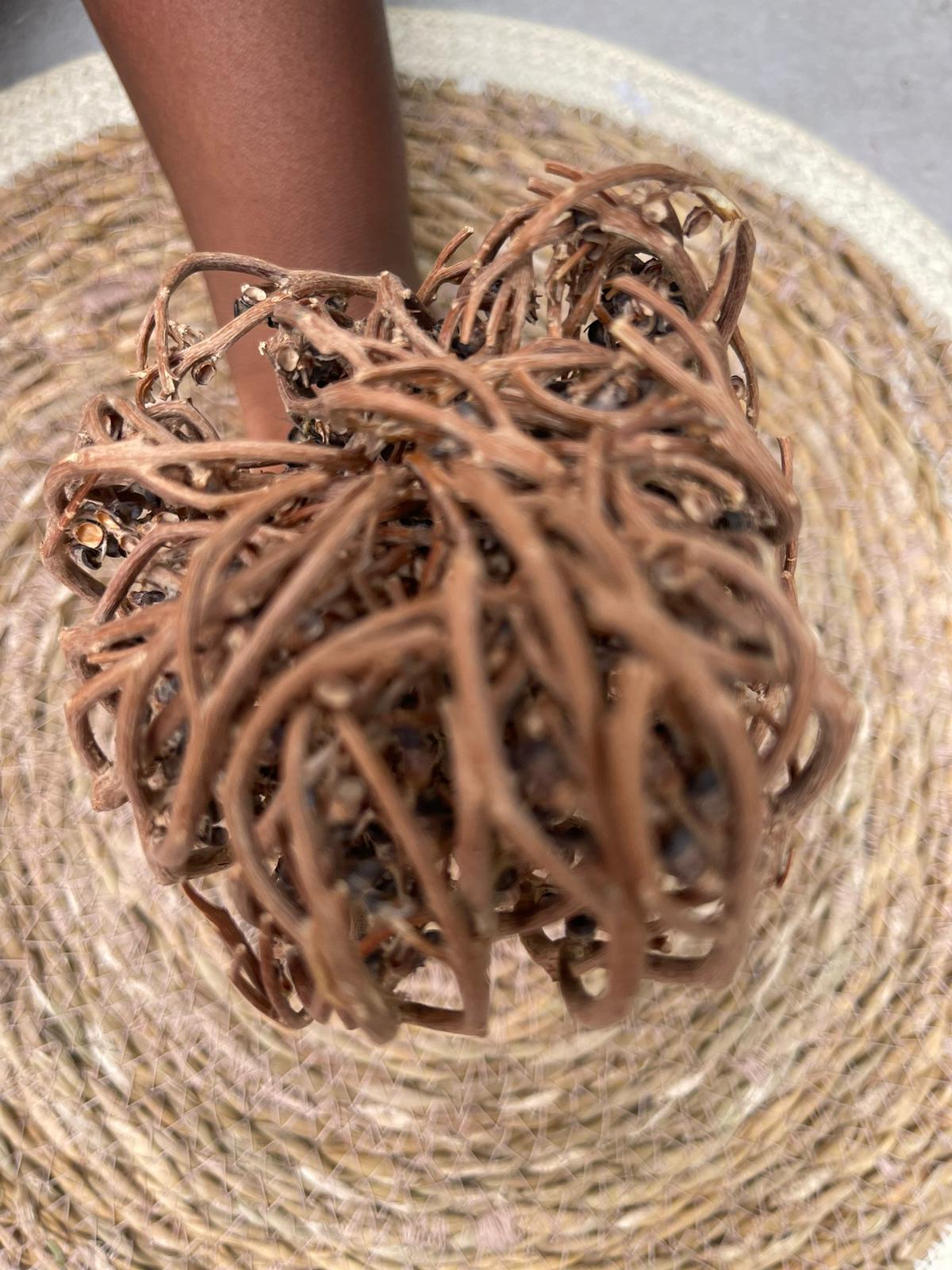 Rose de jericho*( boost la fertilité)