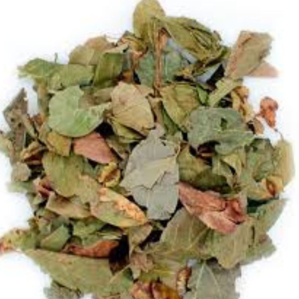 Plantes Africaines en Vrac Naturelles – Tisanes & Herbes Traditionnelles