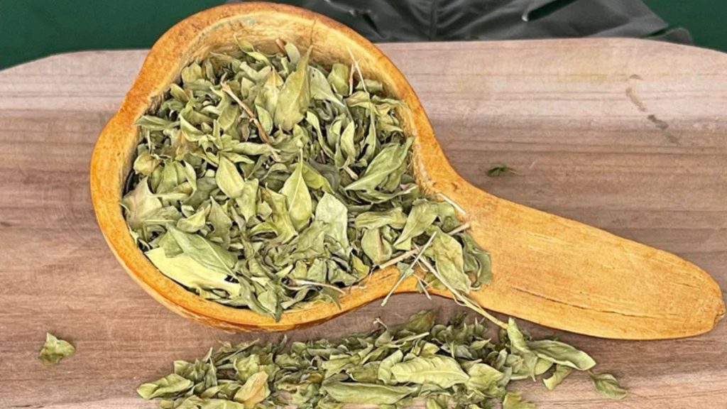 Plantes Africaines en Vrac Naturelles – Tisanes & Herbes Traditionnelles